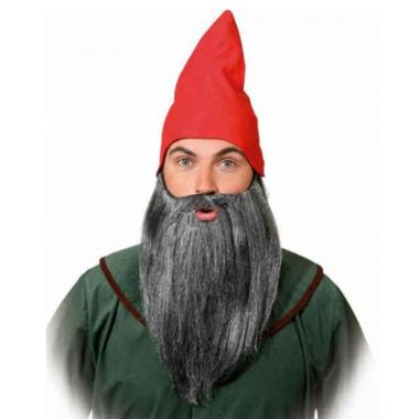 Barba liscia grigia