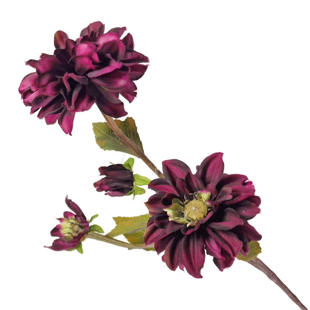 Fiore dalia rametto viola