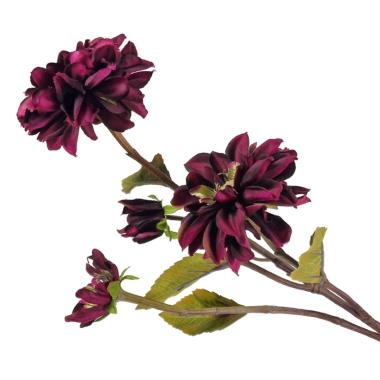 Fiore dalia rametto viola