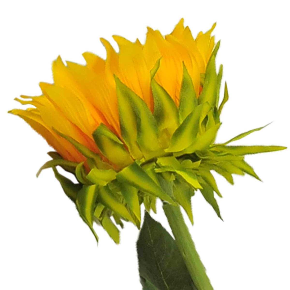 Fiore girasole maxi flover x1 modello s