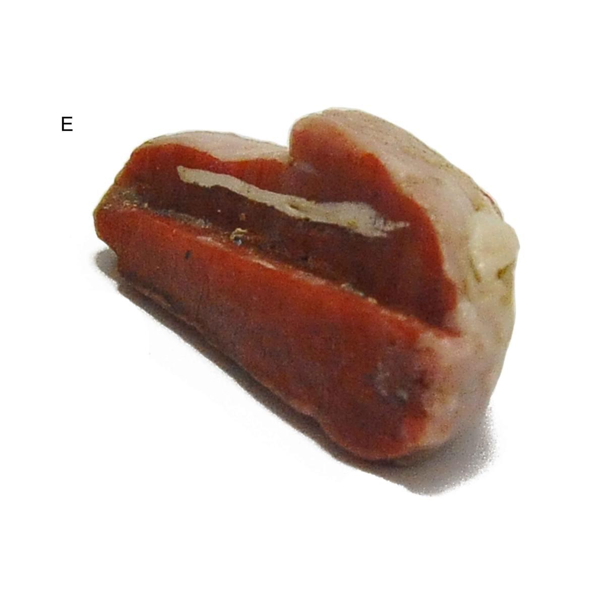 Alimenti presepe formaggi