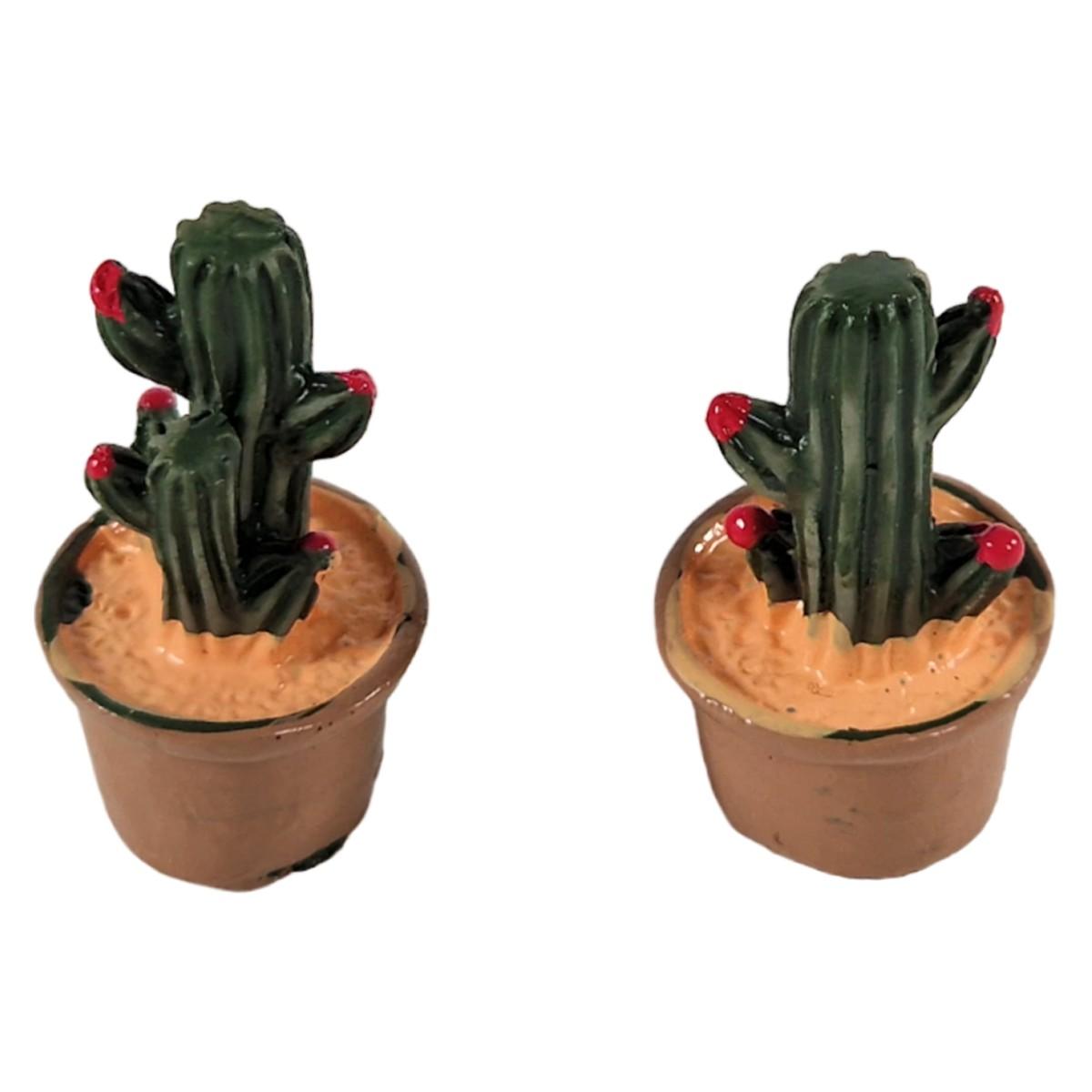 Piantine presepe cactus verdi in