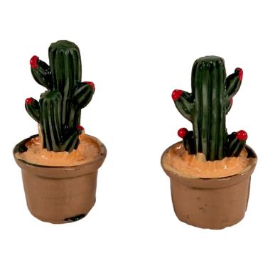 Piantine presepe cactus verdi in