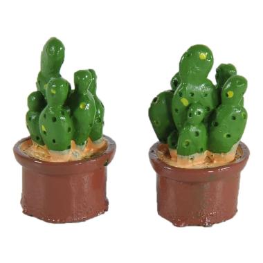 Piantine presepe cactus verdi in