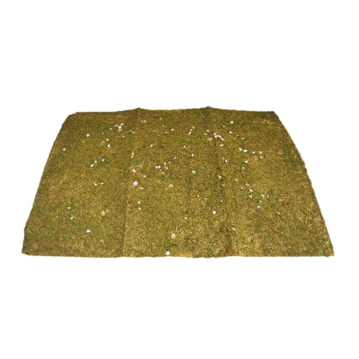 Muschio presepe naturale verde tappeto pietre