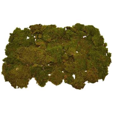 Muschio presepe naturale tappeto essiccato 350 gr