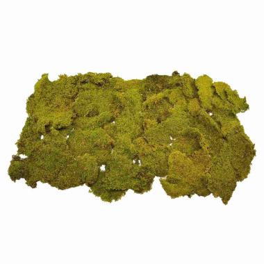 Muschio presepe naturale tappeto essiccato 500 gr