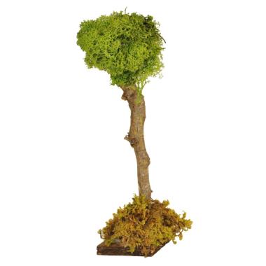 Albero presepe fusto legno lichene verde 30 cm