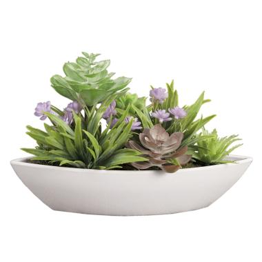 Fiore vasetto pianta grassa 25 x 10 x 15 cm
