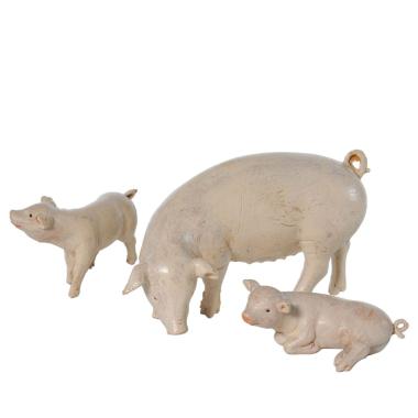 Statua presepe 19 cm maiali