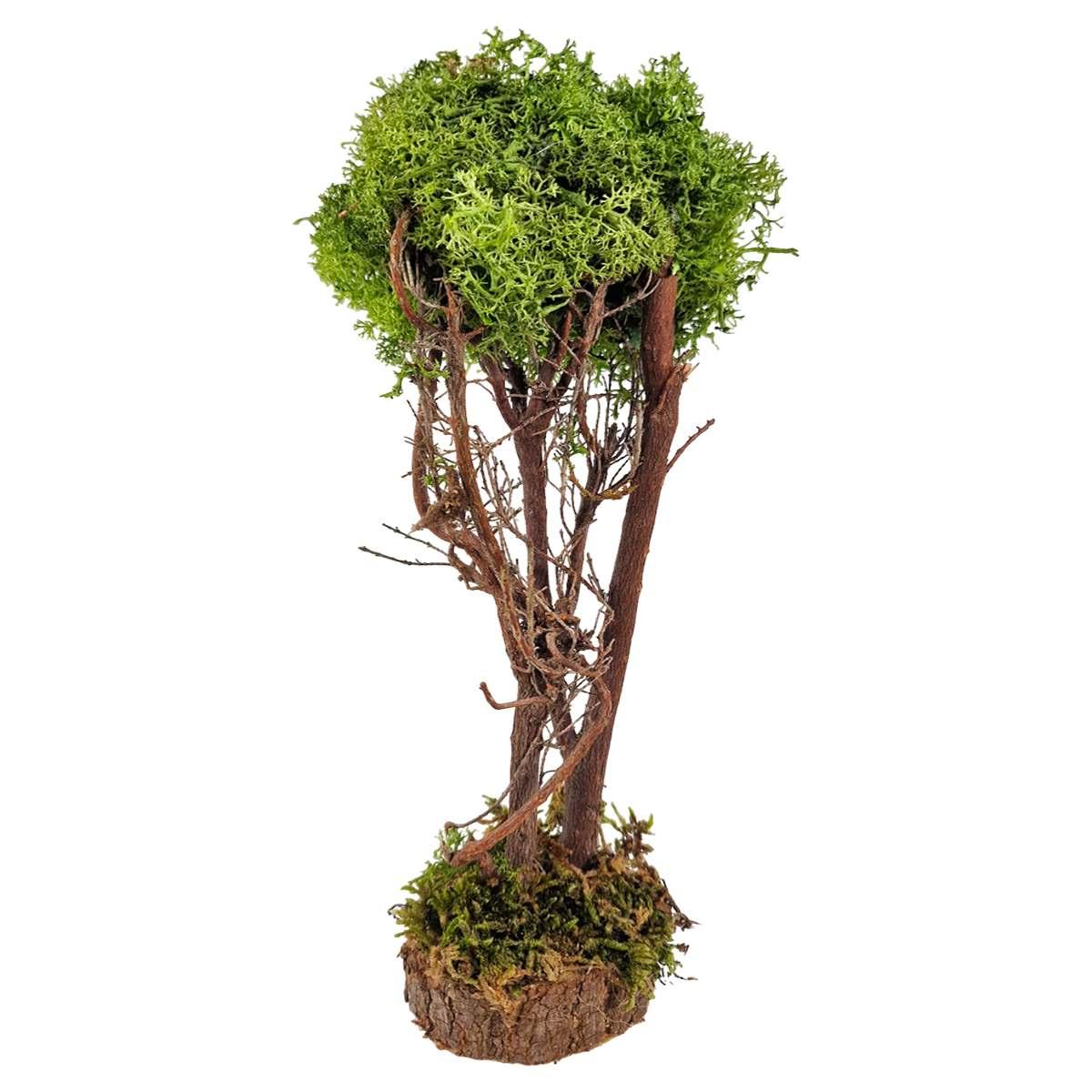 Albero presepe di lichene verde base legno