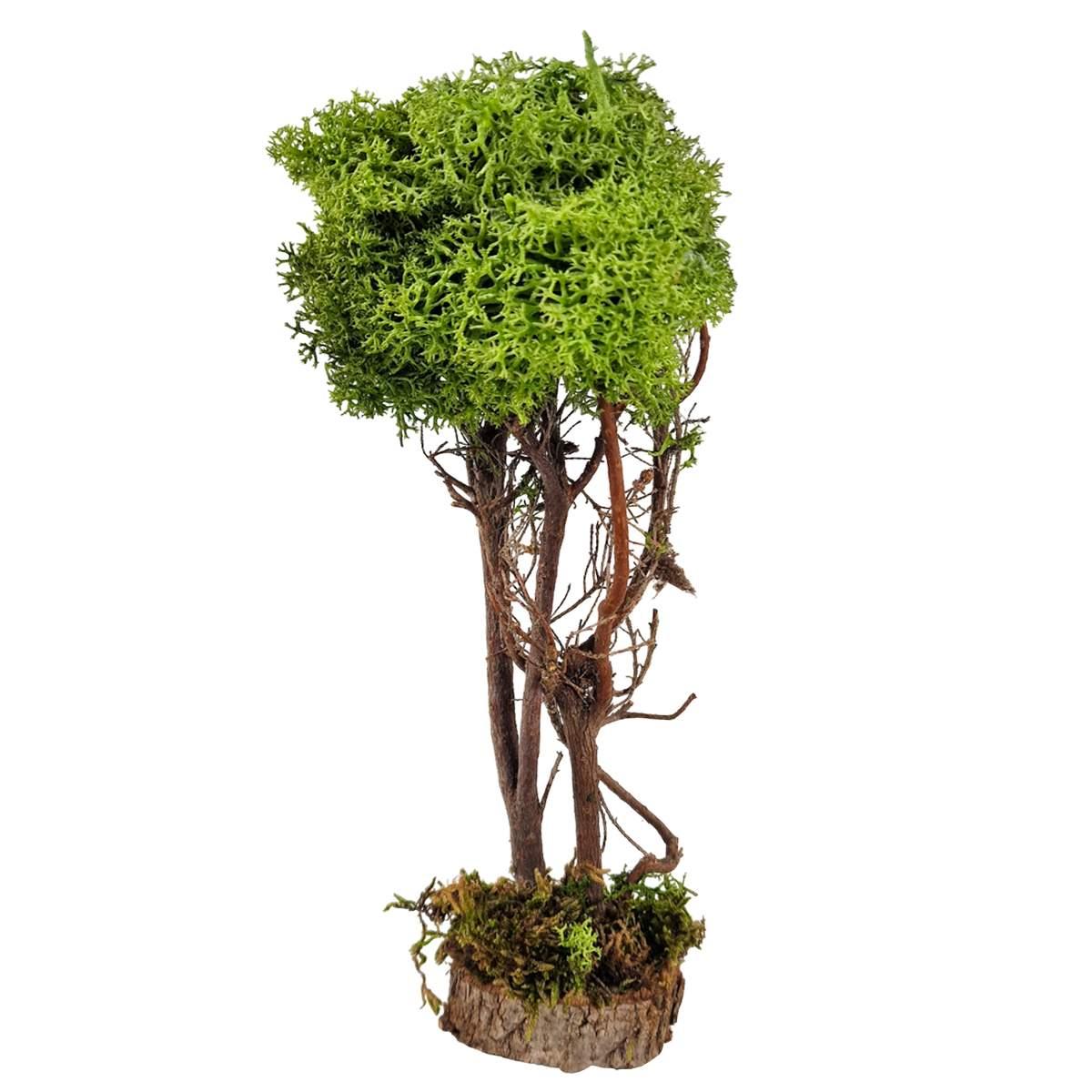 Albero presepe di lichene verde base legno