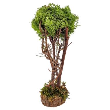 Albero presepe di lichene verde base legno