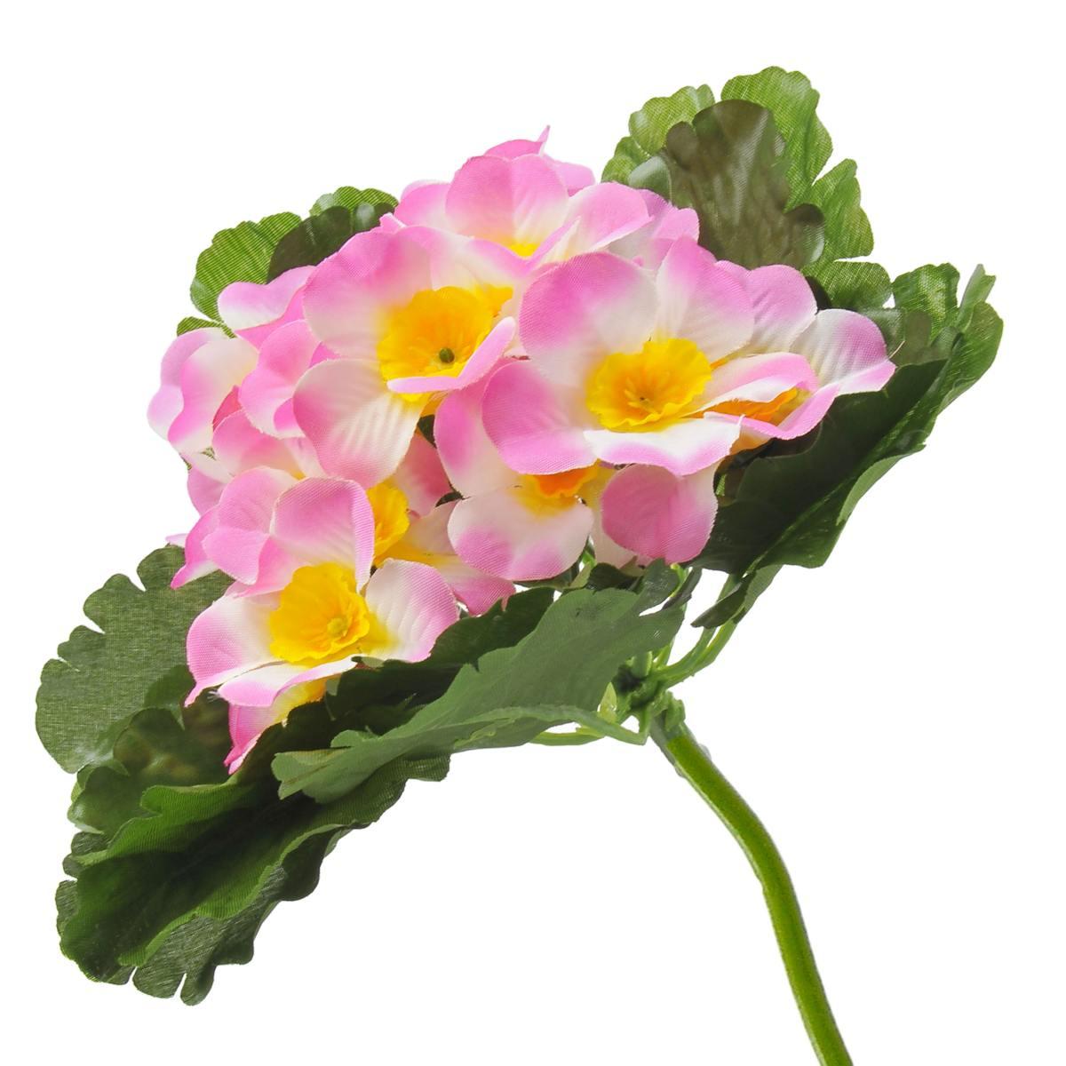 Fiore mazzetto panzè assortito 20 x 20 cm