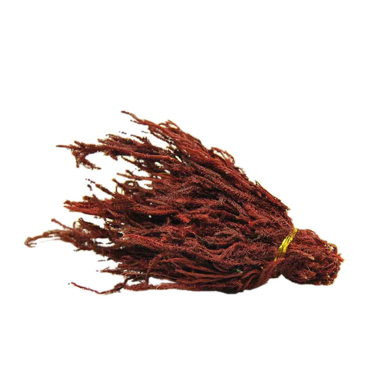Erbetta presepe 50 gr