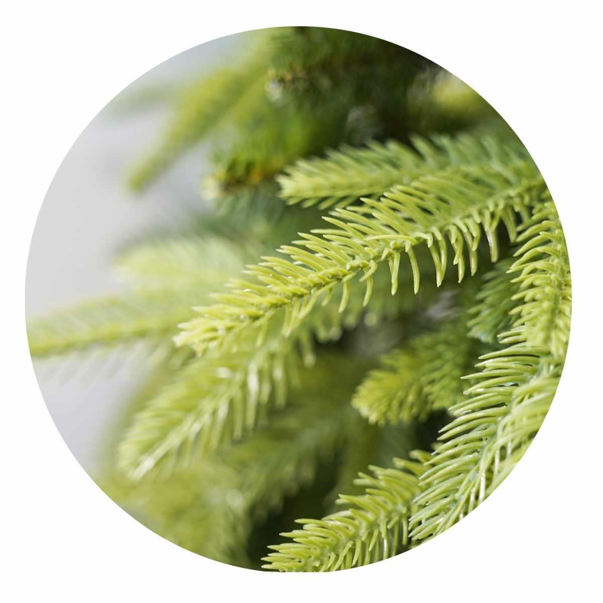 Albero di Natale 270 cm verde foresta umbra