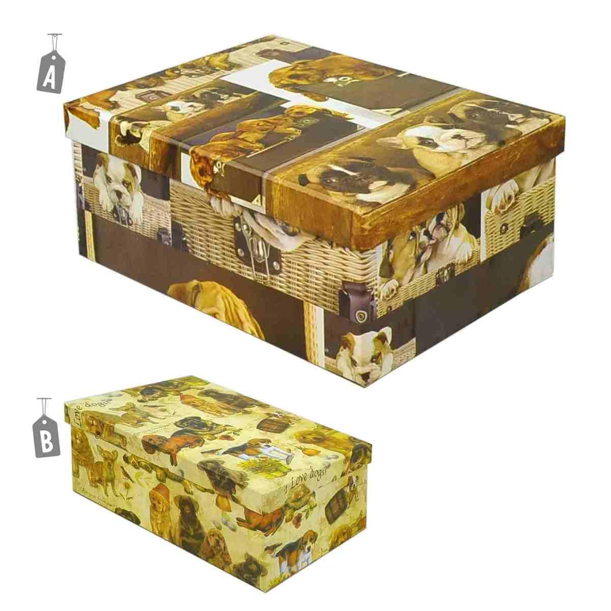 Scatola cartone 5 fiori animali assortiti