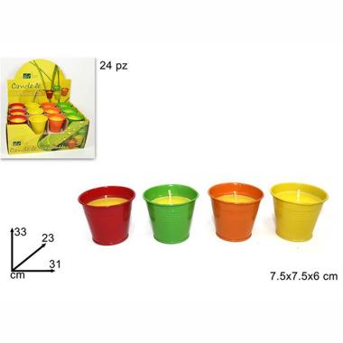 Citronella vasetto color 6 x 7 cm