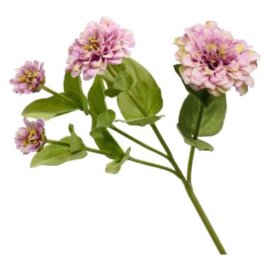 Fiore zinnia rosa 60 cm