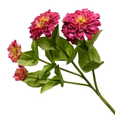 Fiore zinnia bordeaux 60 cm