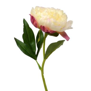 Fiore peonia bianco 33 cm