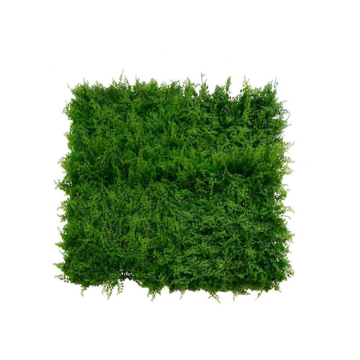 Pannello erba misto felce 100 x 100 cm