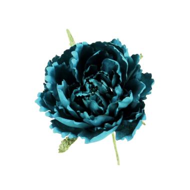 Fiore peonia blu