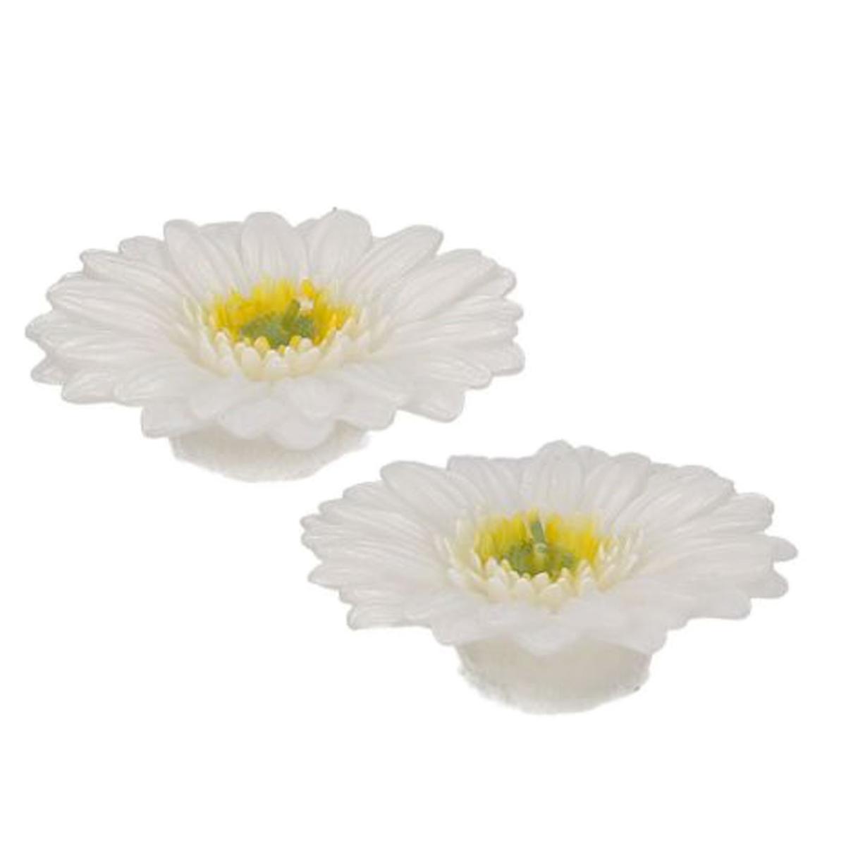 Candela gerbera bianca Set 8 pz