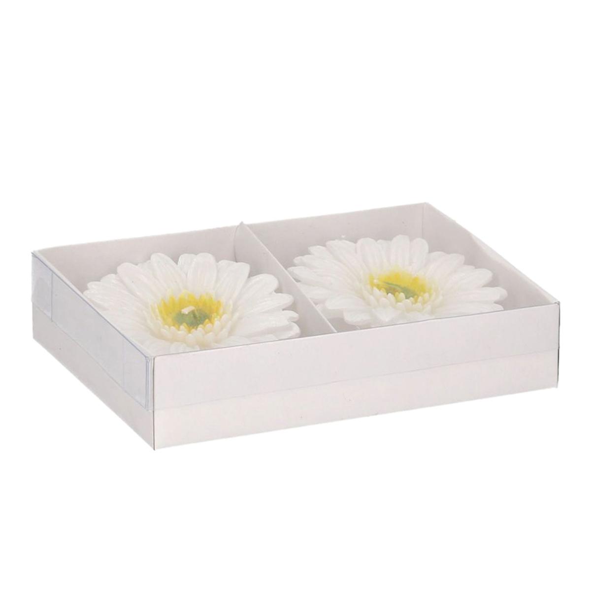 Candela gerbera bianca Set 8 pz