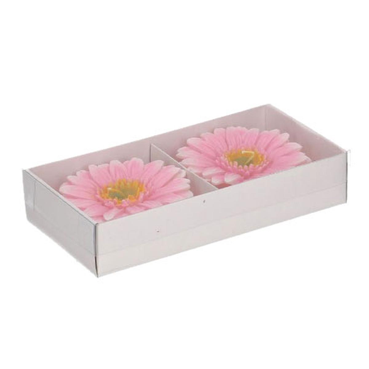 Candela gerbera rosa Set 8 pz