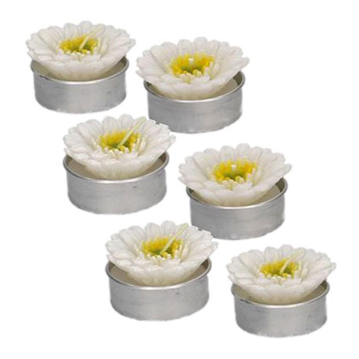 Candela gerbera bianca Set 4 pz