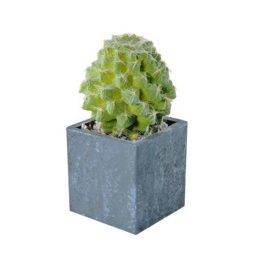 Fiore vasetto pianta grassa 8 x 8 x 21 cm