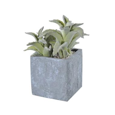 Fiore vasetto pianta grassa 8 x 8 x 21 cm