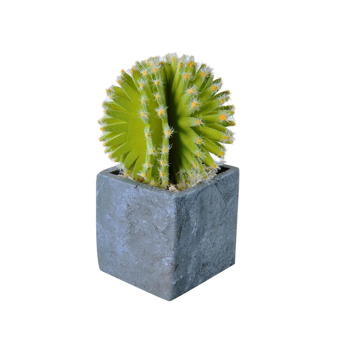 Fiore vasetto pianta grassa 8 x 8 x 21 cm