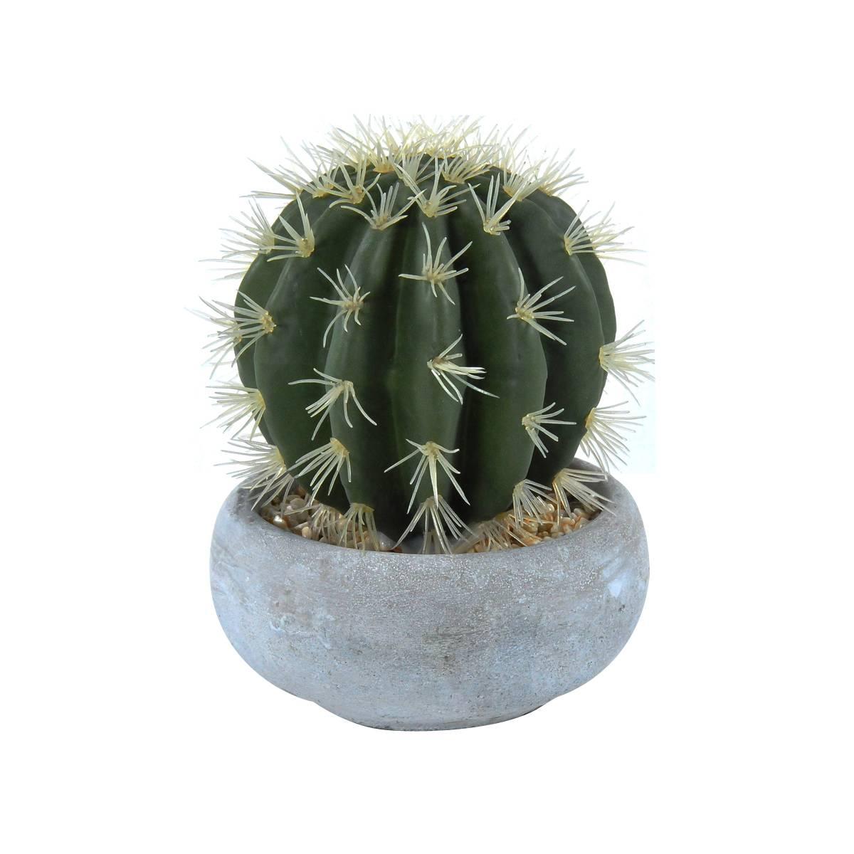 Fiore vasetto pianta grassa 12,5 x 23 cm