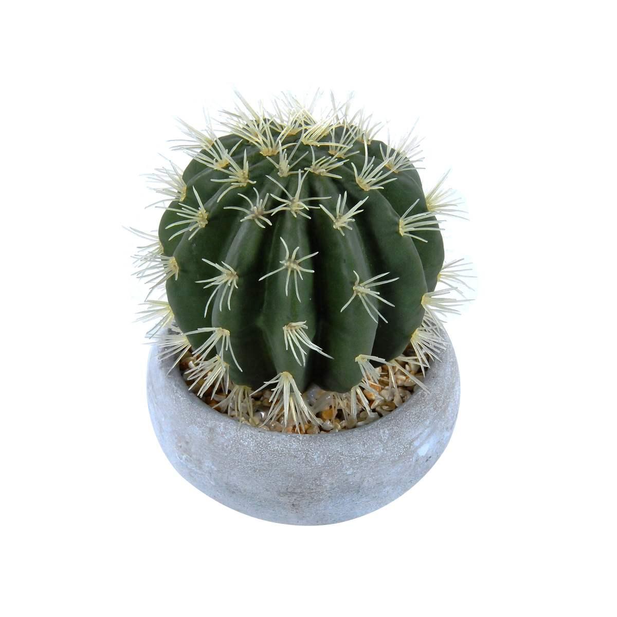 Fiore vasetto pianta grassa 12,5 x 23 cm