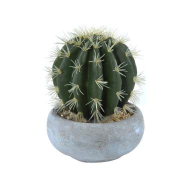 Fiore vasetto pianta grassa 12,5 x 23 cm