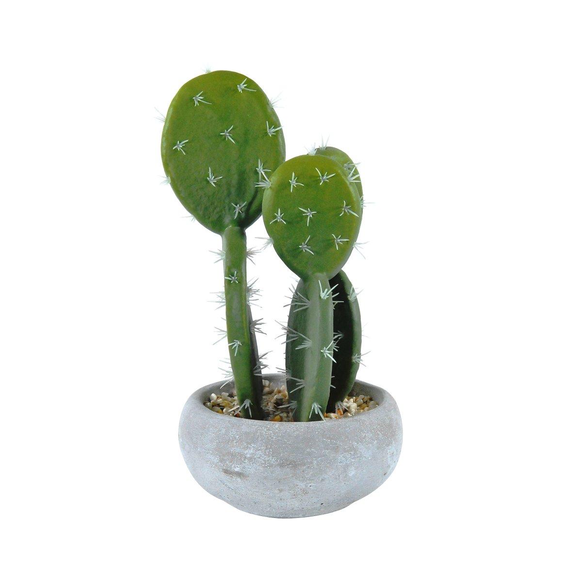 Fiore vasetto pianta grassa 12,5 x 23 cm