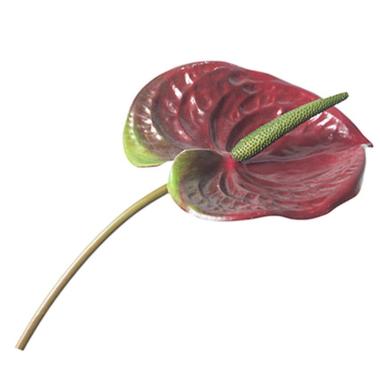 Fiore anturium rosso pvc 15 x 70 cm