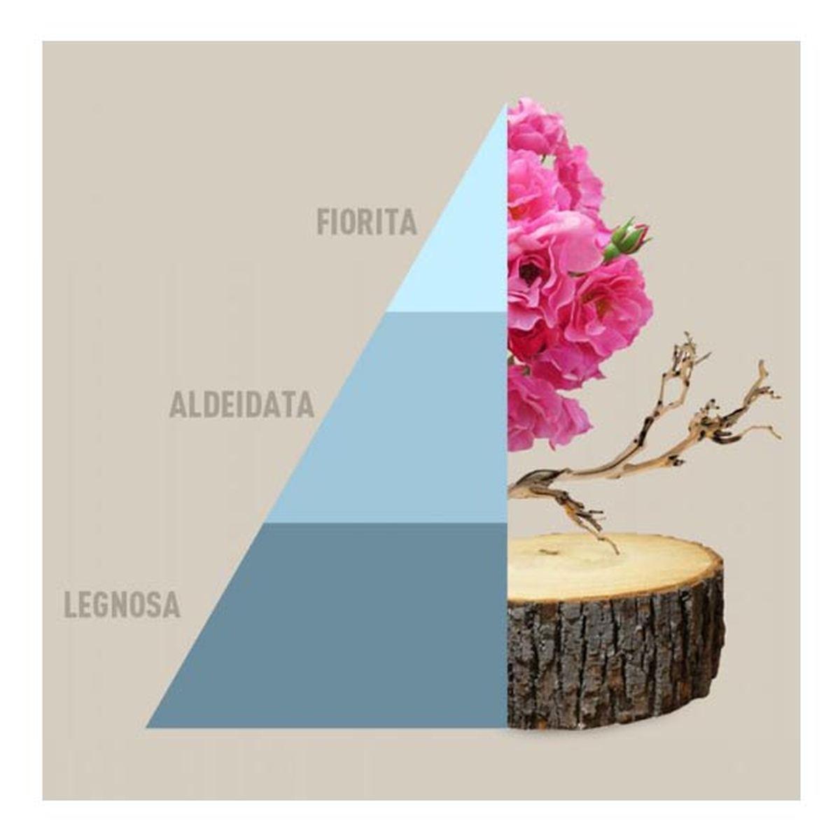 Profumatore bucato fresh cotton ml 50 ml