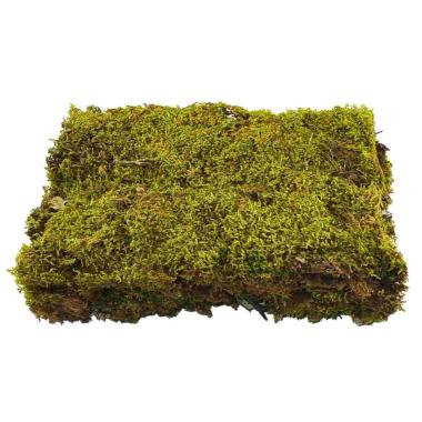Muschio presepe naturale essicato 350 gr