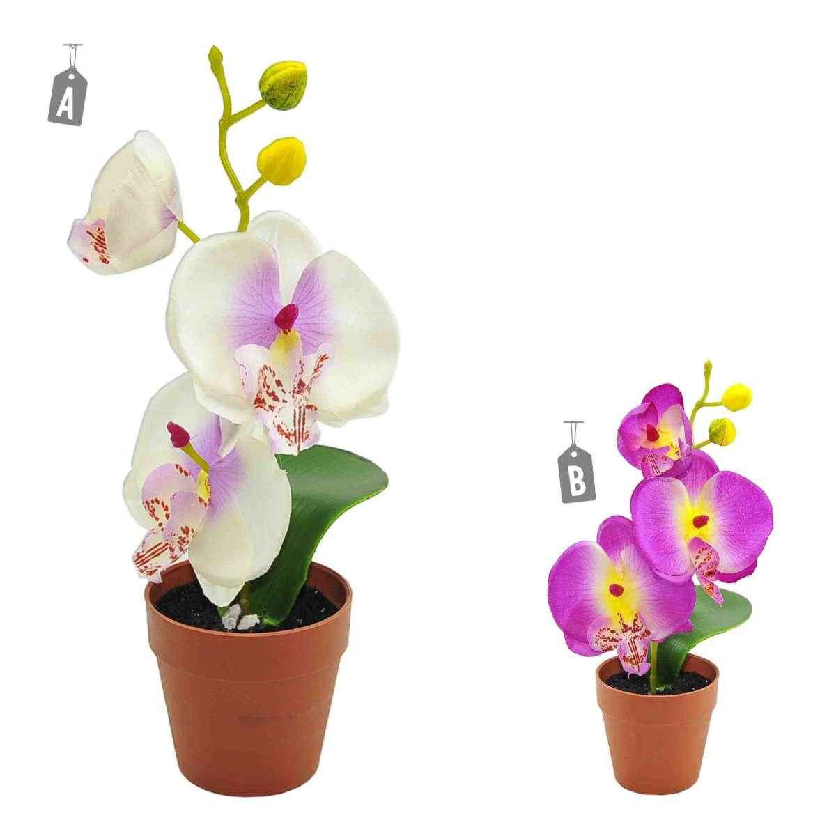 Fiore vasetto orchidea assortito 2 colori