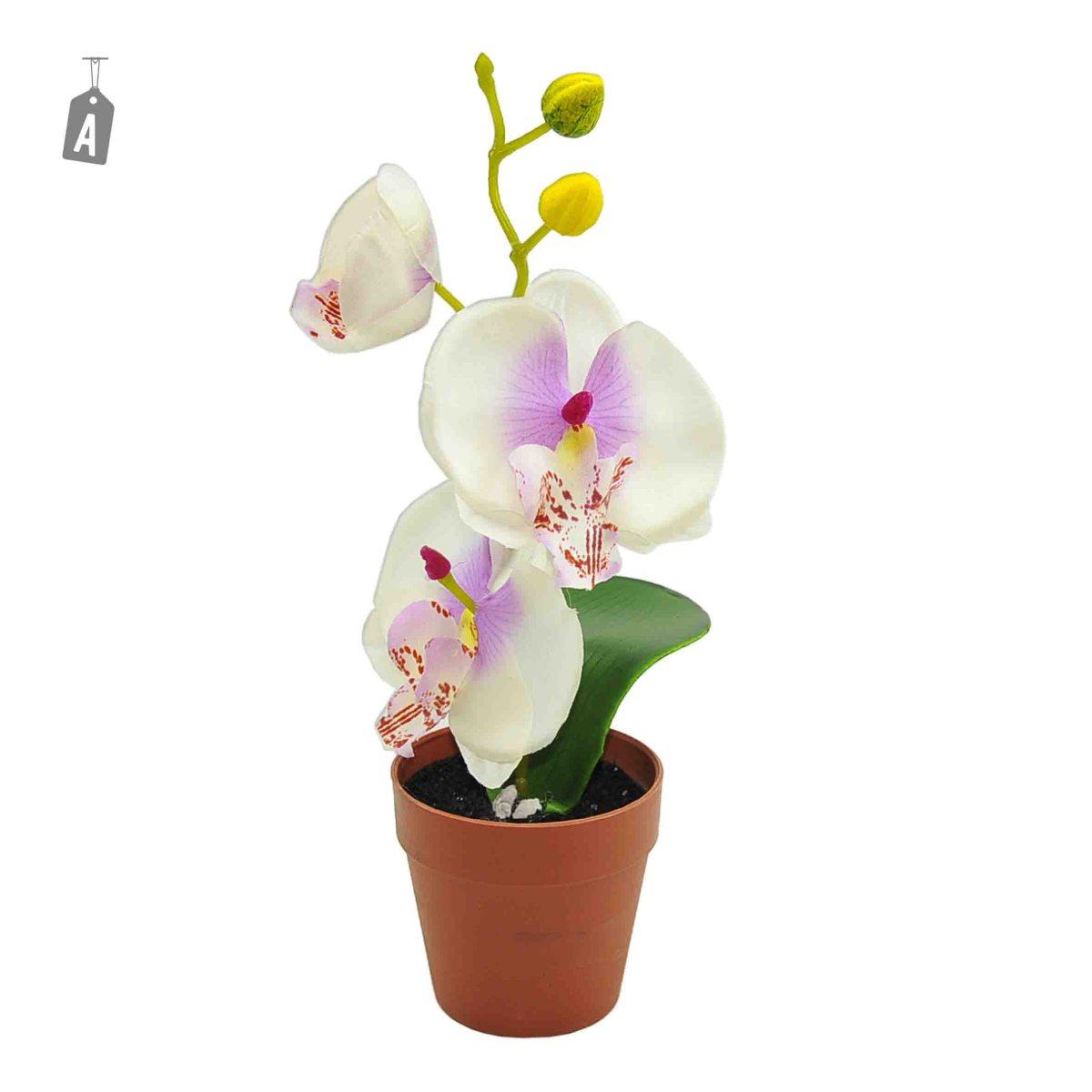 Fiore vasetto orchidea assortito 2 colori