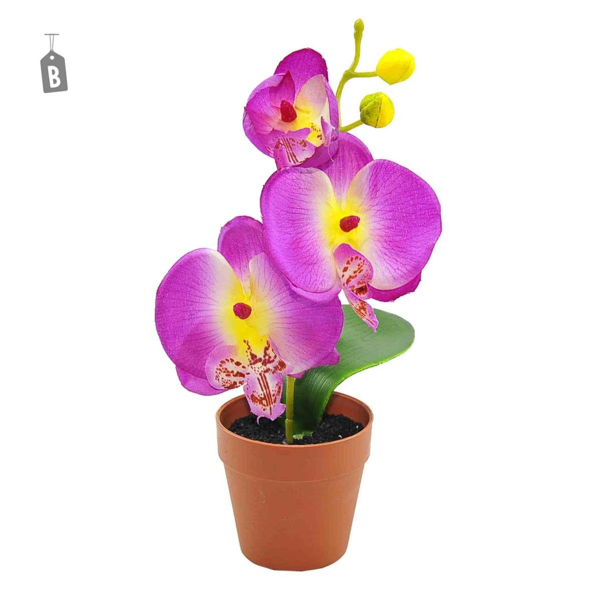 Fiore vasetto orchidea assortito 2 colori