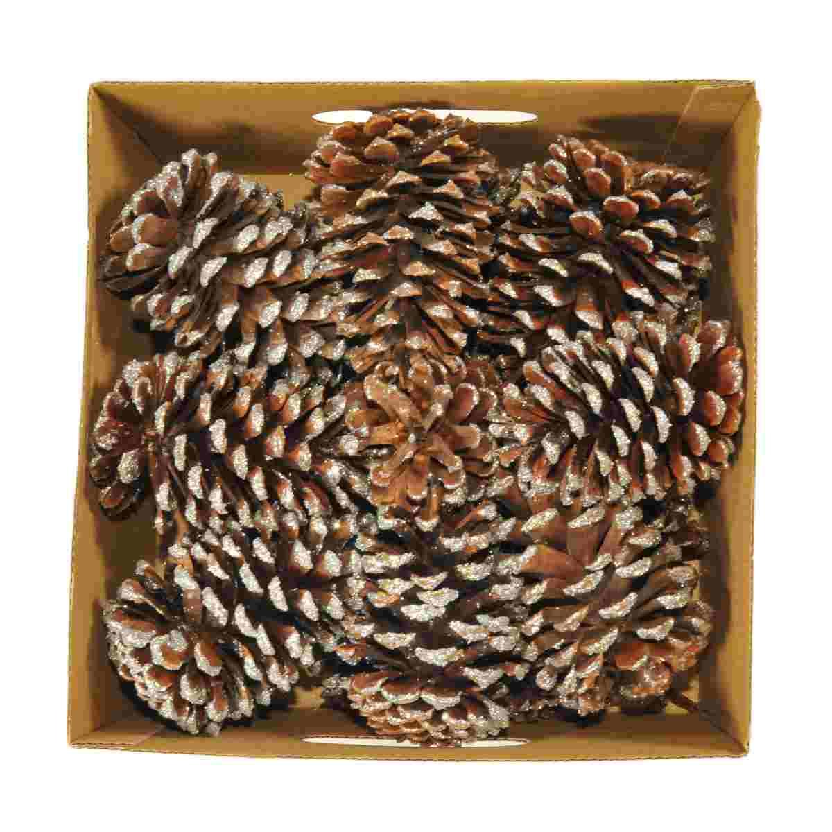 Pigna naturale argento glitter 12 Set 18 pz