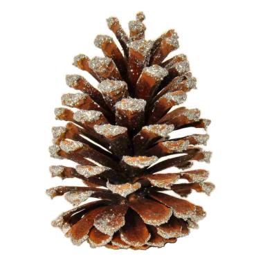 Pigna naturale argento glitter 12 Set 18 pz