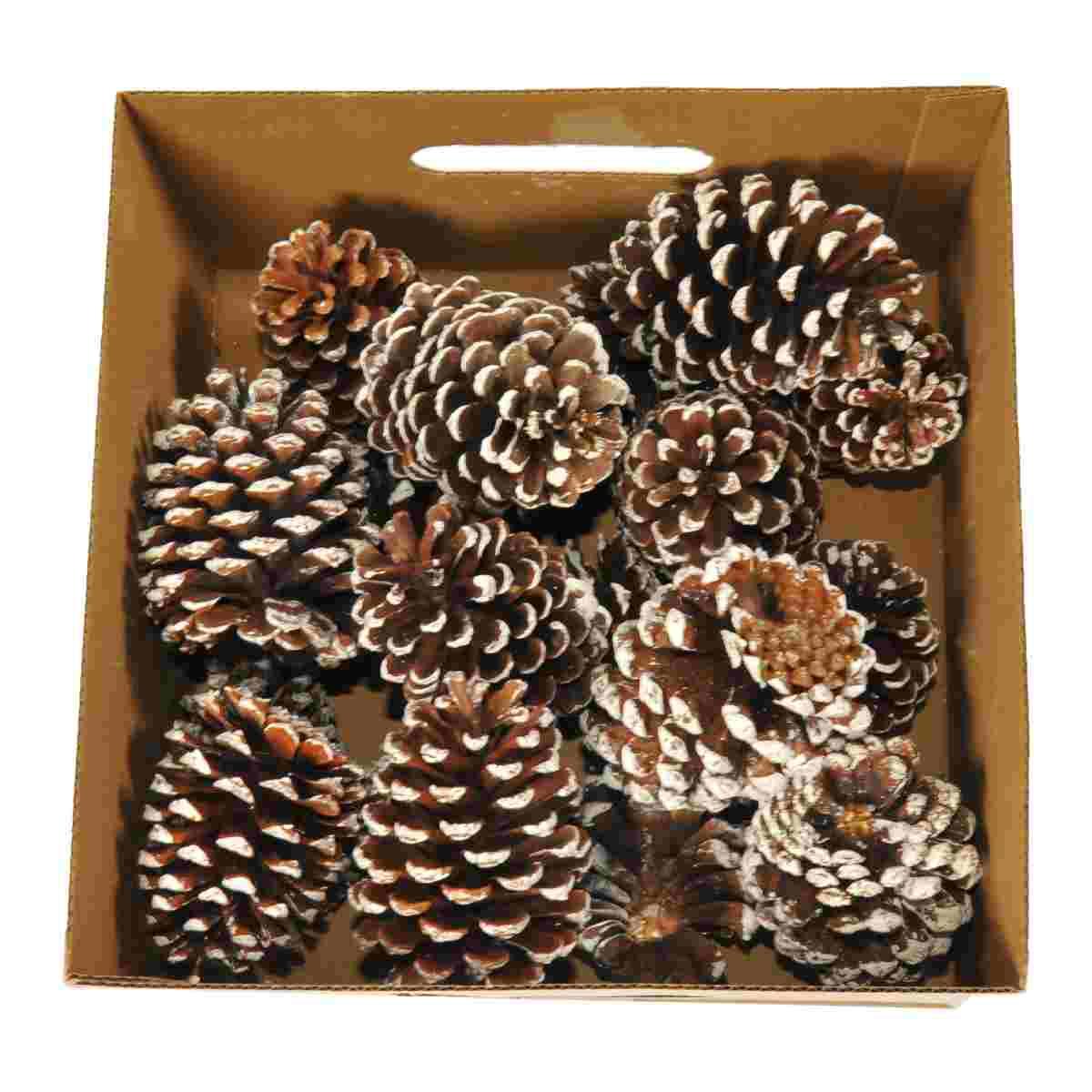 Pigna naturale innevata 12 Set 18 pz
