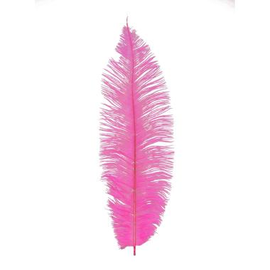 Piuma struzzo 40 fuxia