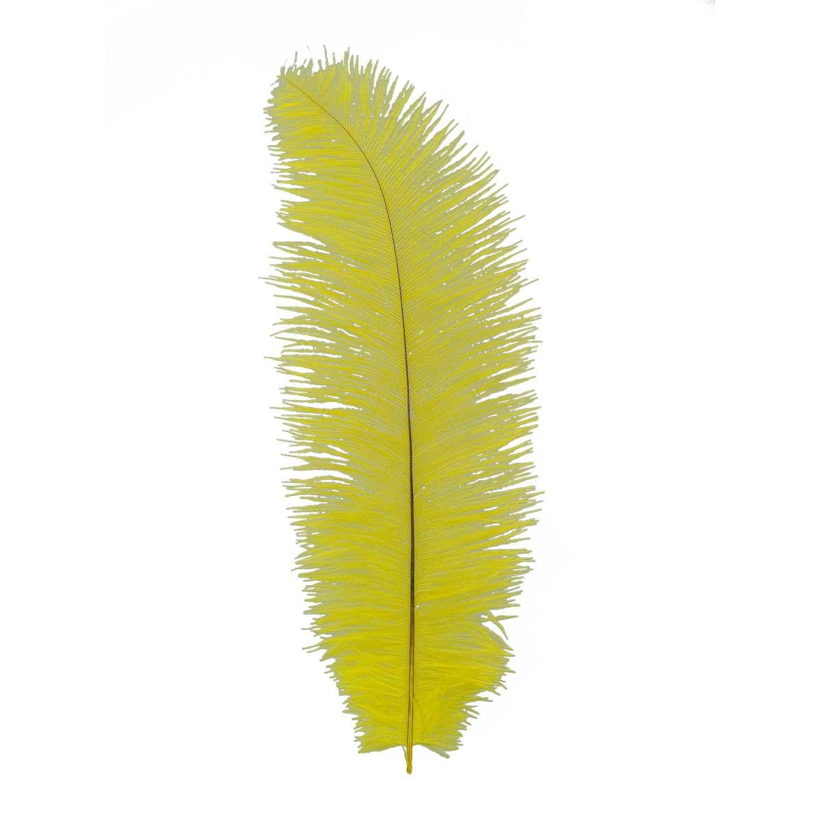 Piuma struzzo 40 giallo
