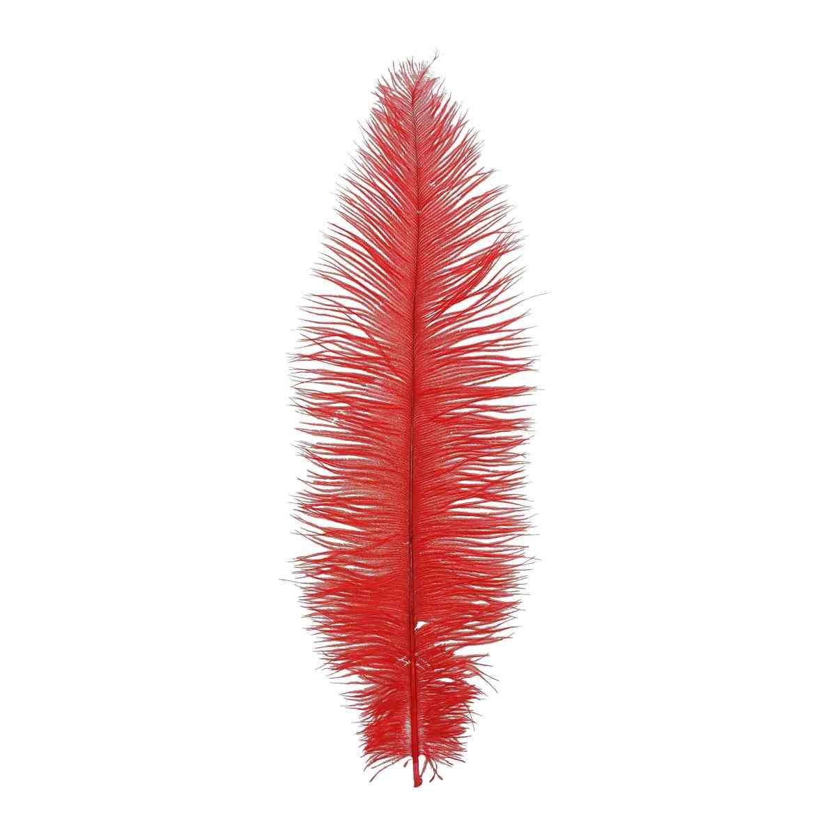 Piuma struzzo 40 rossa